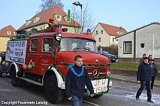 Faschingsumzug 2015